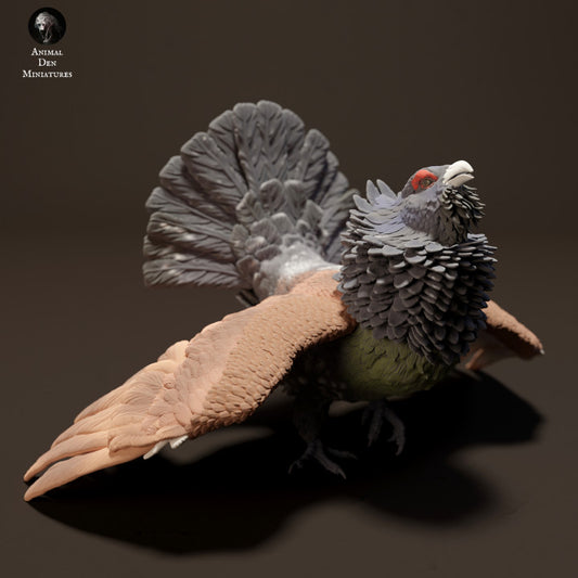 Capercaillie
