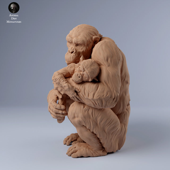 Chimp Female with Baby