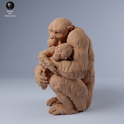 Chimp Female with Baby