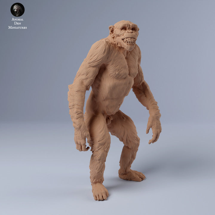 Chimpanzee Grin