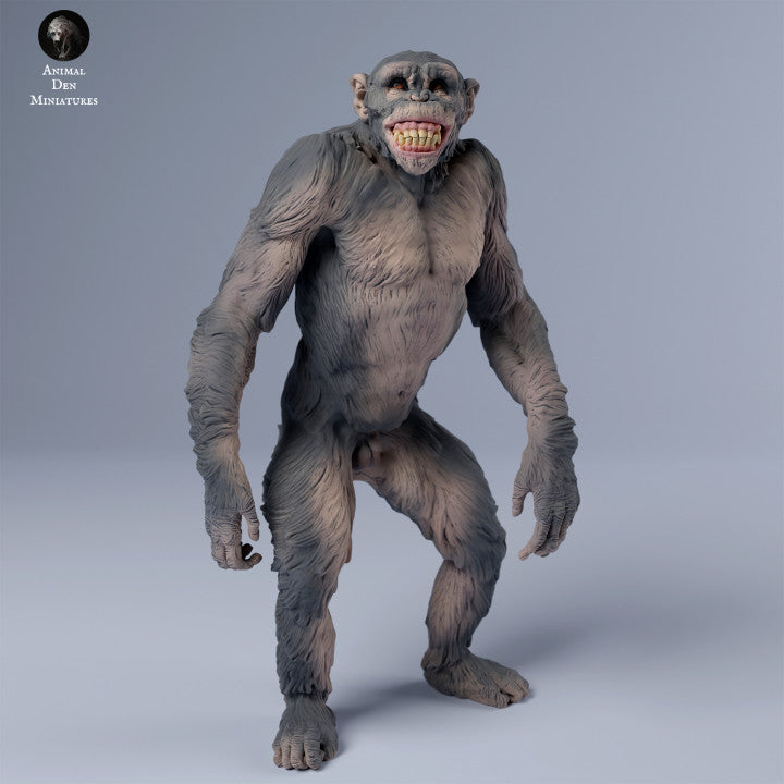 Chimpanzee Grin