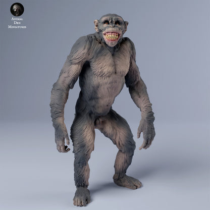 Chimpanzee Grin