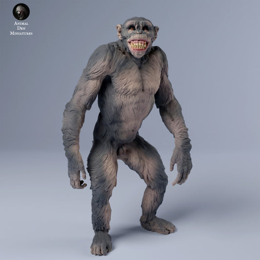Chimpanzee Grin
