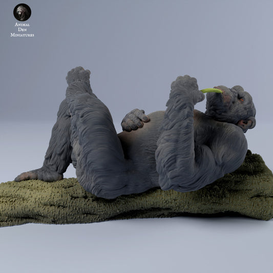 Chimp Chilling