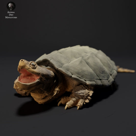 Common Snapping Turtle Aggressive