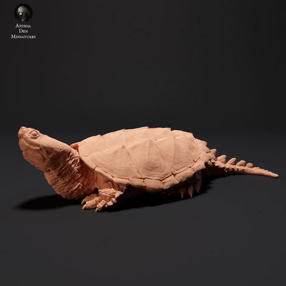 Common Snapping Turtle Sunbathing