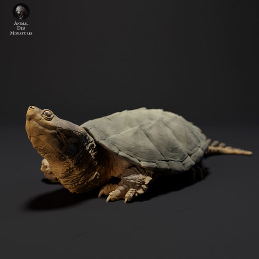 Common Snapping Turtle Sunbathing