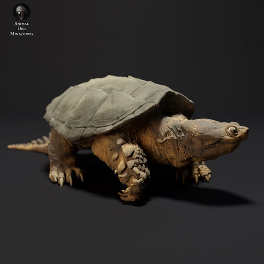 Common Snapping Turtle Walking