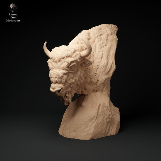 European Bison Bust