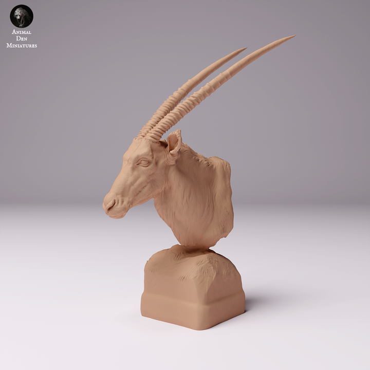 1/16 Scale Gemsbok Bust