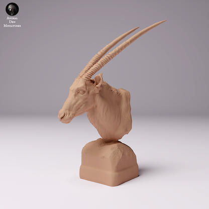 1/16 Scale Gemsbok Bust
