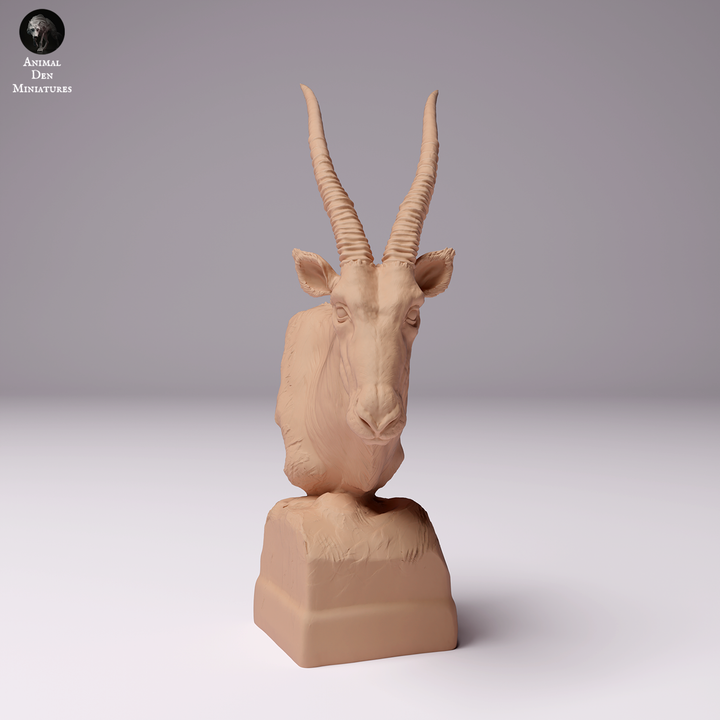 1/16 Scale Gemsbok Bust