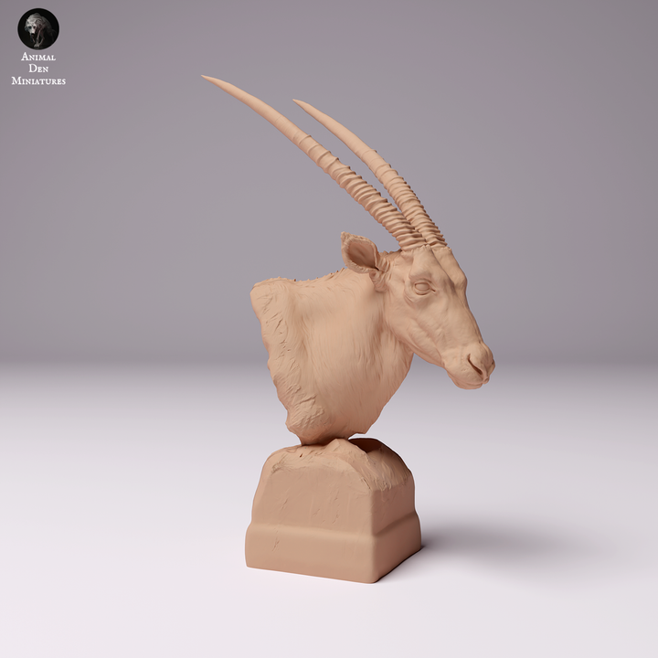 1/16 Scale Gemsbok Bust