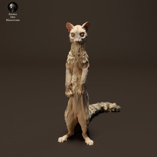 Common Genet Standing