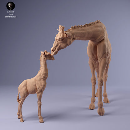 1/48 Scale Rothschild's Giraffe Female and Calf