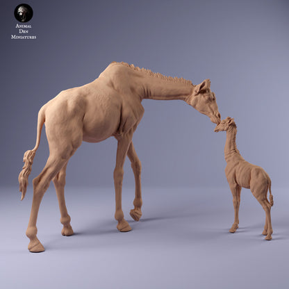 1/48 Scale Rothschild's Giraffe Female and Calf