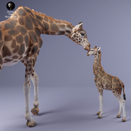 1/48 Scale Rothschild's Giraffe Female and Calf