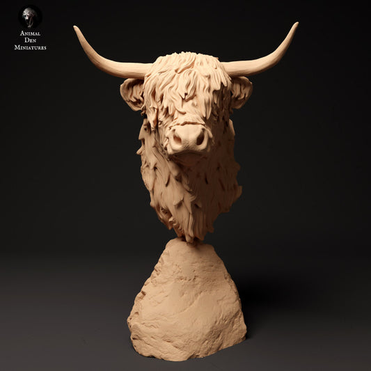 Highland Cow Bust