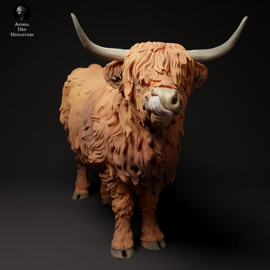 Highland Cow Tongue