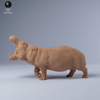 Hippo