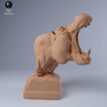 Hippo Bust