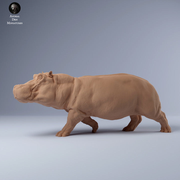 Hippo Run
