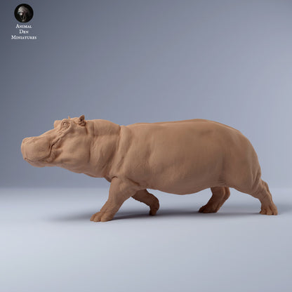 Hippo Run
