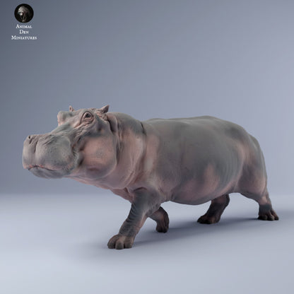 Hippo Run