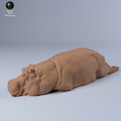 Hippo Sleep