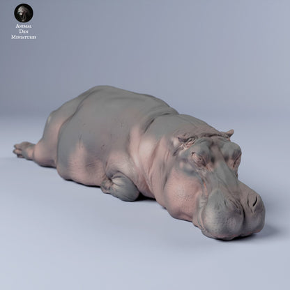 Hippo Sleep