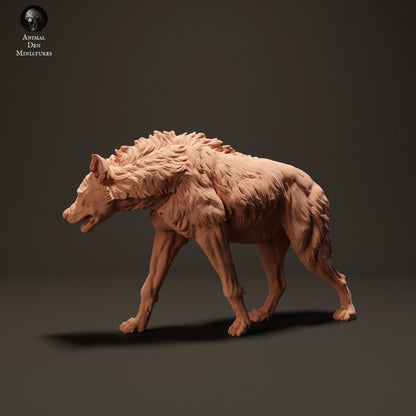 Spotted Hyena