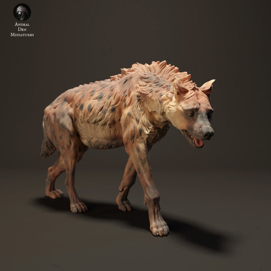 Spotted Hyena