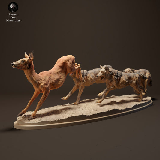 Iberian Wolves Hunting Roe Deer