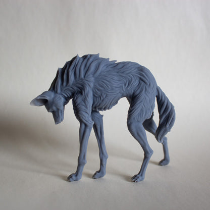 Maned Wolf