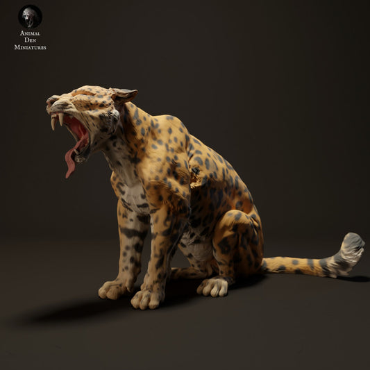 Jaguar Yawn