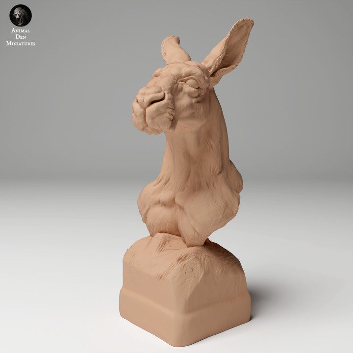 Red Kangaroo Bust
