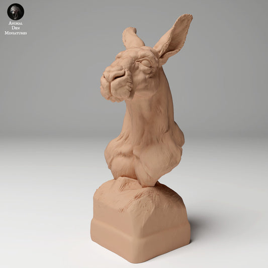 Red Kangaroo Bust