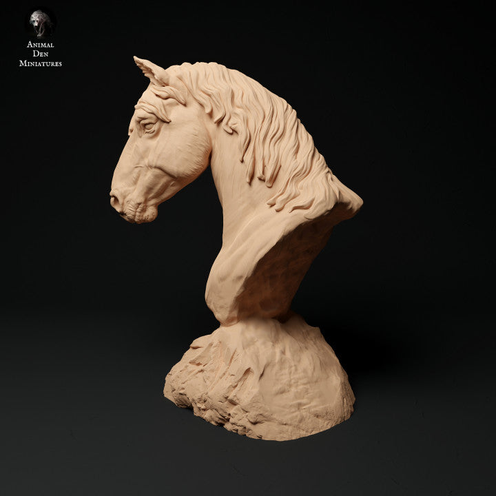 Konik Horse Bust