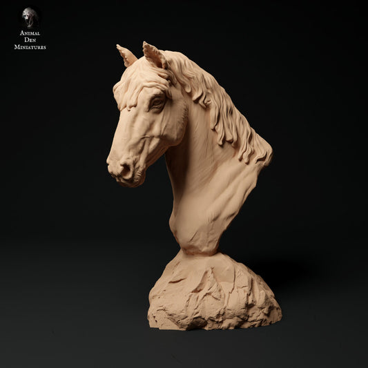 Konik Horse Bust