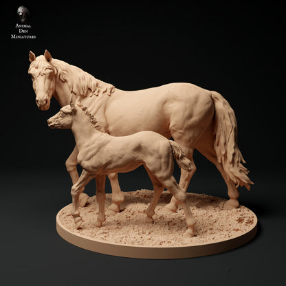 Konik Horse Mare and Calf