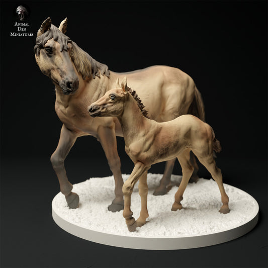 Konik Horse Mare and Calf