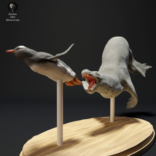Leopard Seal Hunting Gentoo Penguin