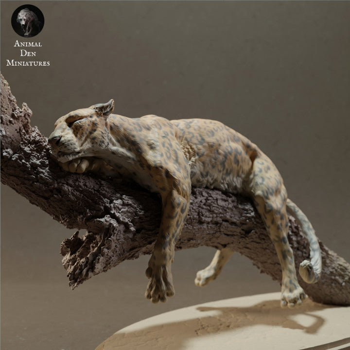 African Leopard on a Tree