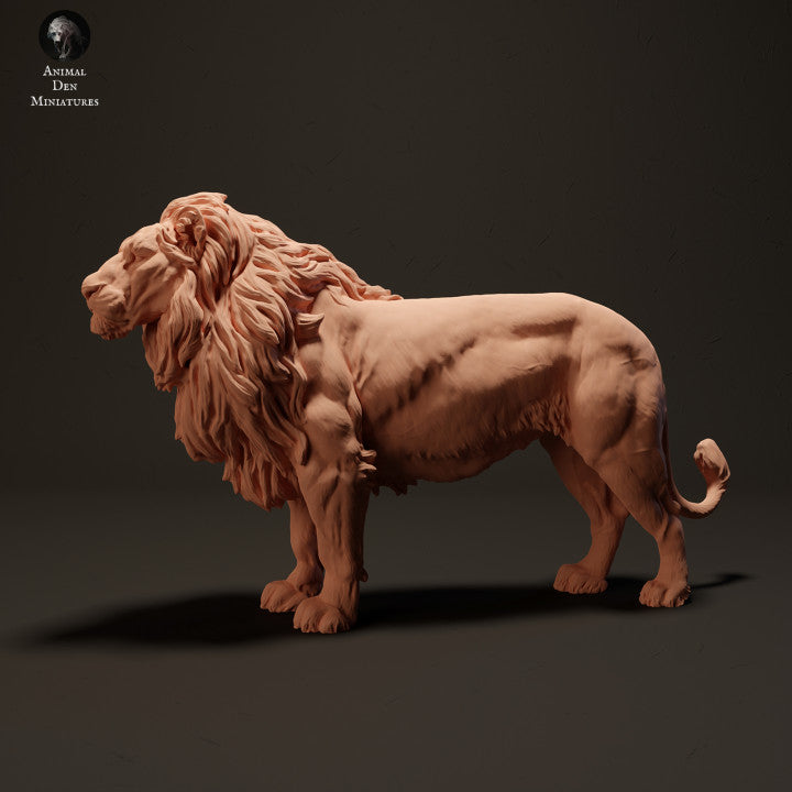 Lion