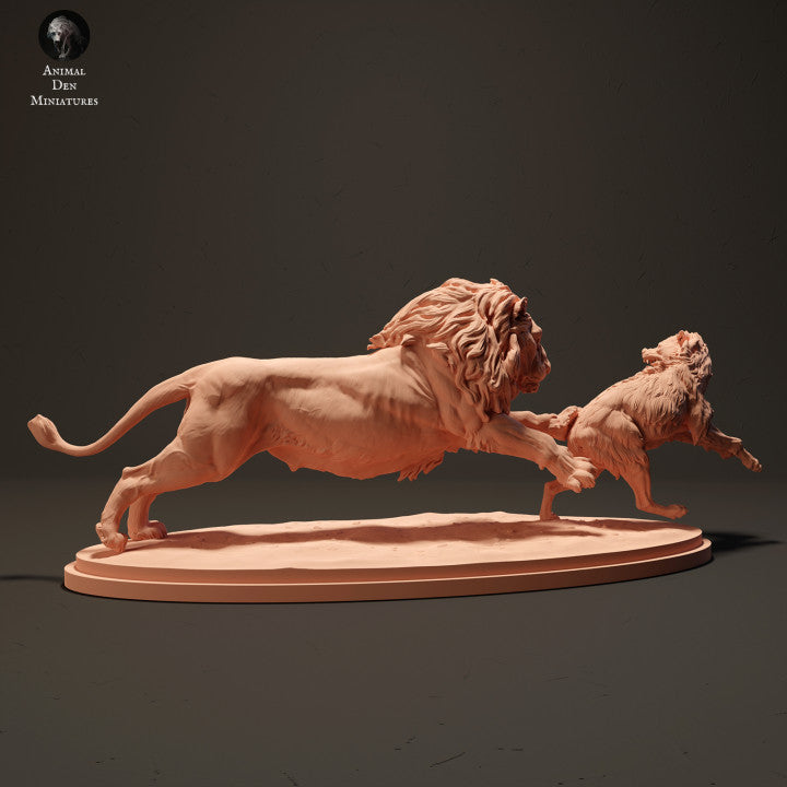 Lion Hunting a Spotted Hyena