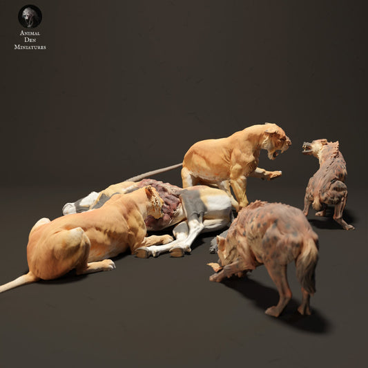 Lionesses vs Spotted Hyenas