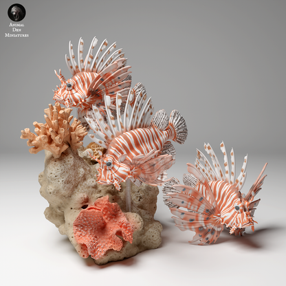 Red Lionfish