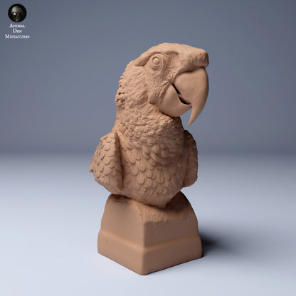 Scarlet Macaw (Ara macao) Bust