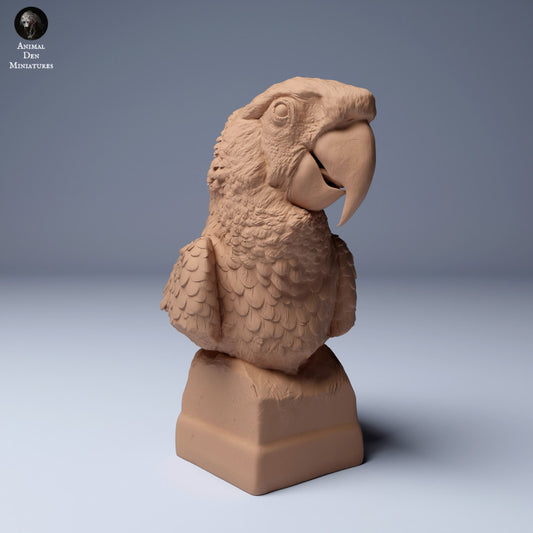 Scarlet Macaw (Ara macao) Bust