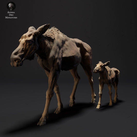 Moose Female and Calf